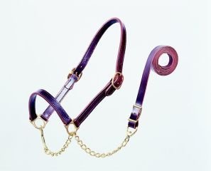 Flat Nose Show Halter, 3/4 Calf Black