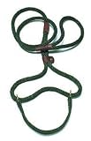 Mendota ME01316 Mendota Big Dog Walker 0.5 Inch x 6ft - Kelly Conf