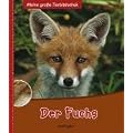 Der Fuchs
