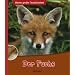 Der Fuchs