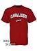 Cleveland Cavaliers NBA Big and Tall Line Tee