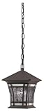 Westinghouse Lighting 6487900 One-Light Exterior Pendant, Textured Rust Patina Finish on Solid Brass and Steel with Water Glass and Tiffany Accents