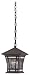 Westinghouse Lighting 6487900 One-Light Exterior Pendant, Textured Rust Patina Finish on Solid Brass and Steel with Water Glass and Tiffany Accents