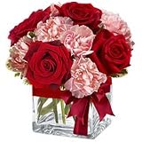 Carnation - Jaime