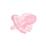 Razbaby Razberry Silicon Teether, Pink