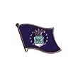 Air Force Lapel Pin