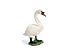 Schleich 13656  - Bauernhof, H&ouml;ckerschw&auml;nnin