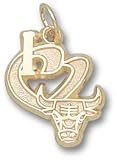 Chicago Bulls I Heart Logo 1/2 Charm/Pendant