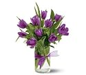 10 Purple Tulips