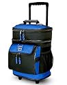 Insulated Rolling Wine Cart holds 6-10 Bottles - Wine Bottle Tote