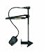Minn-Kota Edge Freshwater 40 Foot Control Trolling Motor with Latch and Door (40lbs Thrust, 45