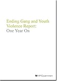 Ending gang and youth violence report : one year on