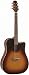 Musical Instruments : Takamine EAN10CTBS Dreadnought Cutaway Acoustic-Electric Guitar, Sunburst
