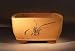 Bonsai Boy's Ceramic Bonsai Pot <br>Square Unglazed with Etching<br>