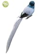 10" Aqua Feathered Long-Tail Clip-On Bird Christmas Ornament