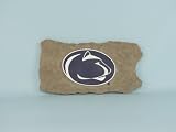 State Shaped Stepping Stone Penn State Nittany Lions
