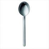 IMAGE OF 33 Stainless Steel Large Serving Spoon