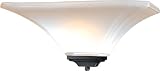 Minka Lavery Agilis 1810-66 Small Glass 1 Light 100 watt (7