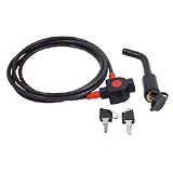 Hollywood Racks LPCS-2 Locking Hitch Pin and Security Cable (2-Inch Receiver)) by Hollywood Racks