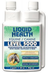 For Animals-K-9 Level 5000 Glucosamine - 8 oz - Liquid