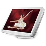 Eizo 24-Inch LCD-Monitor (S2411W-WS)