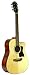 Hohner HW350CE Dreadnaught Acoustic/Electric Guitar with Hardshell Case