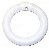 FC8T9 / D - 22 Watt - T9 Circline - 8.25 in. Diameter - 6500K - EiKO 15532