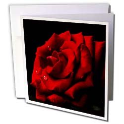 Valentines Day - Valentine rose - Greeting Cards-6 Greeting Cards with envelopes