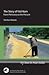 The Story of Viet Nam: From Prehistory to the Present (Key Issues in Asian Studies)