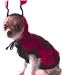 Ladybug Halloween Dog Costume - Size M Medium