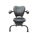 31gEOkib9tL. SL160  Brand New Hula Chair   Your Ultimate Personal Health Care Device