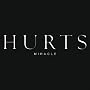 Miracle <a href="http://www.amazon.de/Miracle/dp/artist-redirect/B00BJ8CR8K">Hurts</a><span class="byLinePipe"> | </span><span class="byLinePipe">Format:</span> MP3-Download
