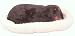   - Pet Nap Sleeping Breathing Plush Dachshund