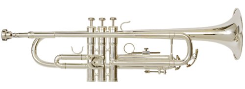 �P�����g�i�[ �g�����y�b�g�i�V���o�[�j KTR-35