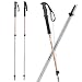 Black Diamond Syncline Trekking Poles (Pair) - Orange - Discontinued