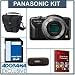Panasonic Lumix DMC-GF3 Camera Body, Black - Bundle - with 8GB SD Memory Card, Camera Case, USB 2.0 SD Card Reader, - FREE: Red Giant Magic Bullet PhotoLooks V1.5 Software, for Mac & Windows a $199.00 Retail Value