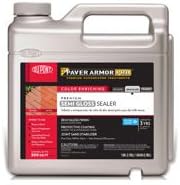 Premium Semi Gloss Color Enriching Sealer 1 Gal