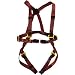 CAMP USA Mickey Fast Climbing Harness - Kids' Red/Gray, One Size
