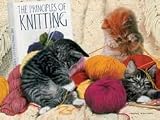 Cats: Knitting Principles