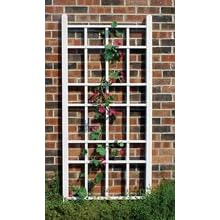 trellis