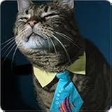9 to 5 Tie Cat Collar Size Small