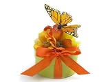 Bloembox Habitat Butterfly Garden