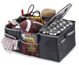 Trunk Organizer w/cooler