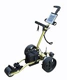 Hawk Hollywood Electric Cart