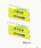The Disappearance of Haruhi Suzumiya - Ichiban Kuji Scarf Towel 2-Piece Set 90cm (Genuine product imported from Japan.)
