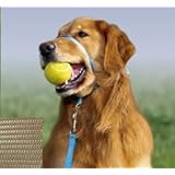 Gentle Leader Quick Release Headcollar: Large, Fawn