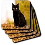 Cats - Black Cat - Coasters