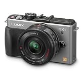 Panasonic Lumix DMC-GX1X 16 MP Micro 4/3 Compact System Camera with 3-Inch LCD Touch Screen and 14-42mm X Power Zoom Lens (Silver)