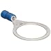 Morris Products 10050 Ring Terminal, Vinyl Insulated, Blue, 16-14 Wire Size, 3/4" Stud Size (Pack of 100)