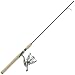 Sporting Goods : Shakespeare® Agility® Spinning Combo
